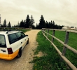 Ce este BAD Rally?